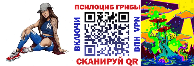 наркота  нарко площадка состав  Галлюциногенные грибы Psilocybine cubensis  Катав-Ивановск 
